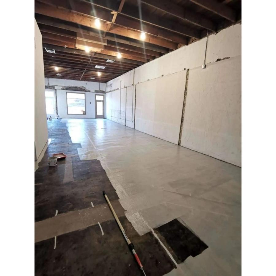 The Only Encapsulant That Seals Non-Friable Black Mastic And Primes For New Paint, Epoxy, Tile, Leveling Cements, And More. 1 Gallon (light Grey)